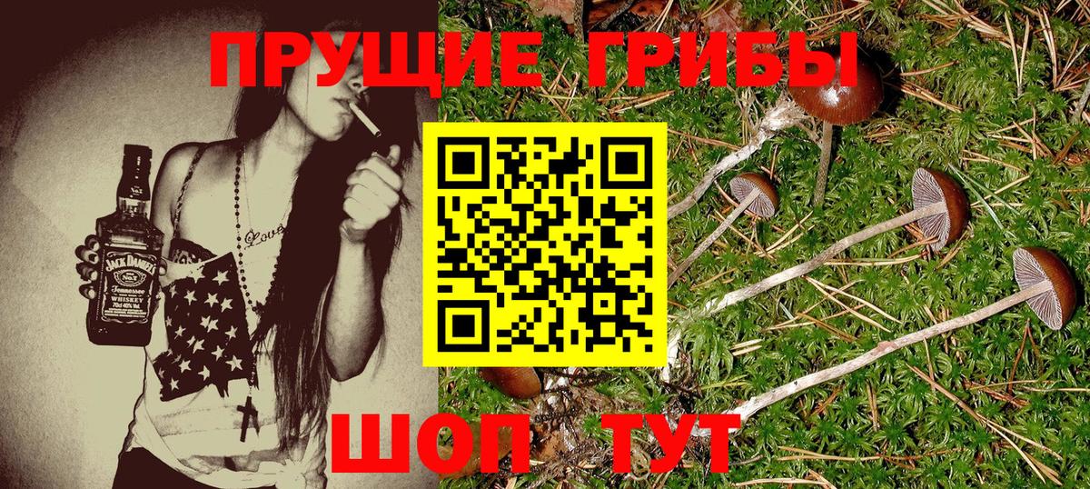 Псилоцибиновые грибы Cubensis  Вход с VPN  Истра  Галлюциногенные грибы Cubensis 