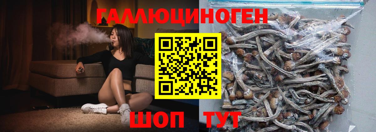 Псилоцибиновые грибы Magic Shrooms Истра